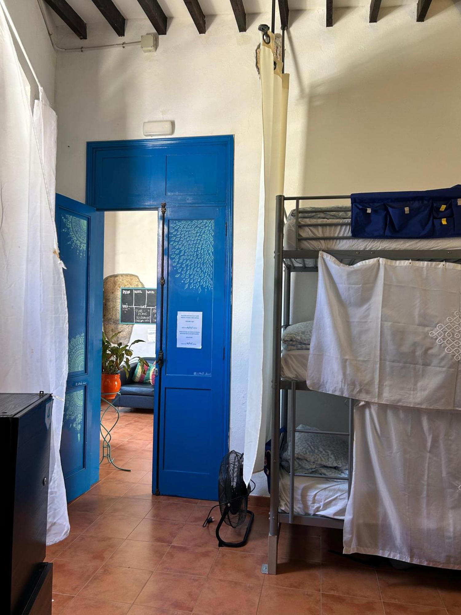 Ashavana Nest Hostel El Medano  Phòng bức ảnh